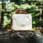 Bear Head Makeup Case PP Password Box 14 Inch Suitcase Luggage Cartoon Wedding Companion Gift Storage Portable Travel Case - Image 2
